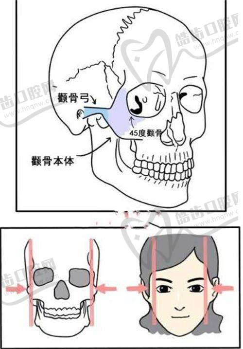 医生项目价格