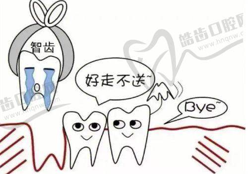 清远粤美口腔上颌智齿拔除159元起，低价高效解您智齿拔除难题 