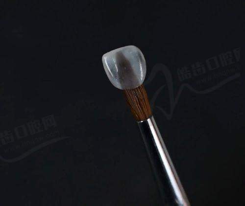 清远粤美口腔医生团队与服务质量
