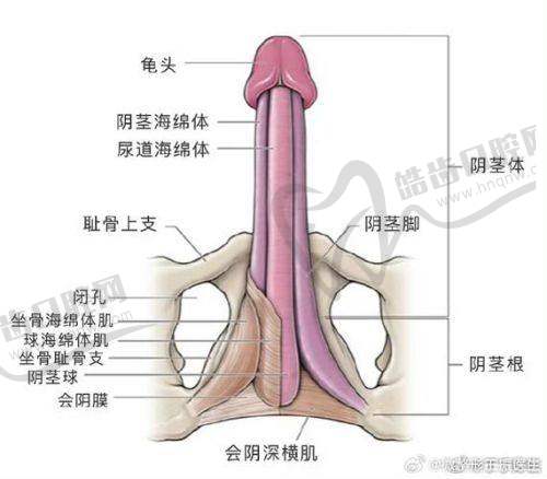 避坑指南：如何防止被骗挂假号、假骨干医生？