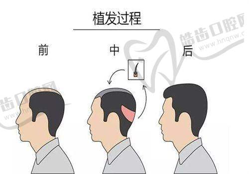 熊靖民医生的执医荣誉