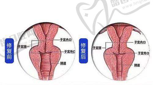 用户口碑真实可信，满意度高