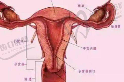 真实患者口碑反馈，大连爱德丽格可信吗一目了然