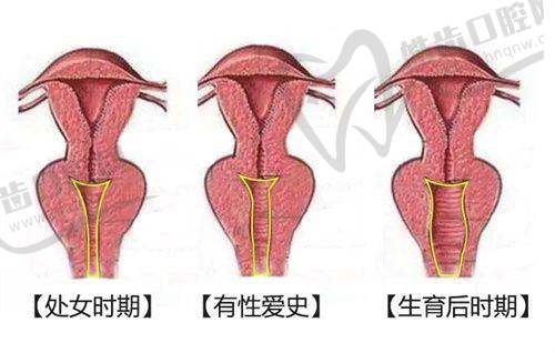西安徐智慧医生收费标准详解:起价8000元,注射项目1万元起
