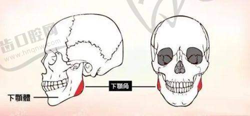 兰州皙妍丽医生团队实力强，技术口碑双保护