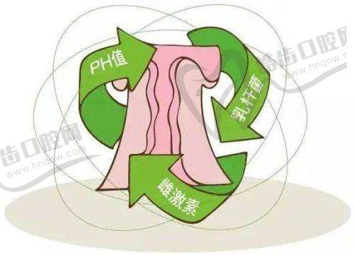 杭州红房子妇产医院私密整形修复中 心简介概述