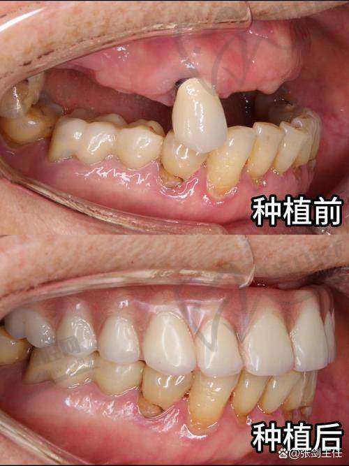 董岩医生的个人资料及专注领域