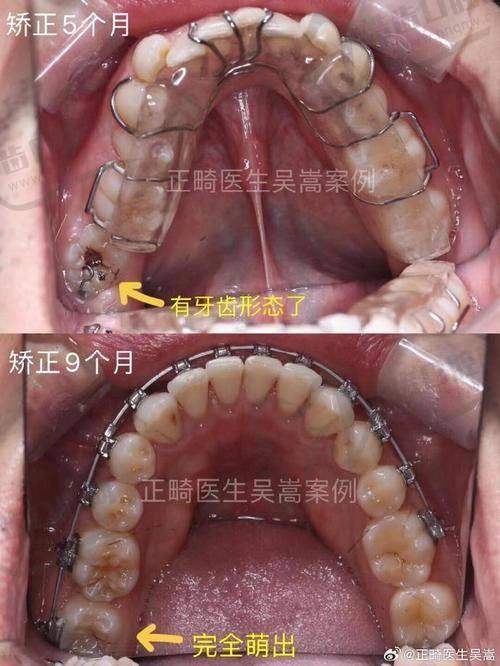 陈瑛医生的执医荣誉亮点