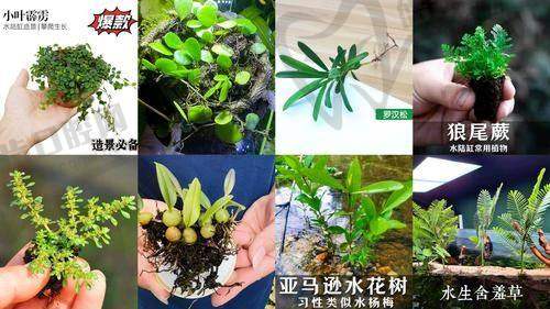宋静琴医生的口碑评价及反馈内容