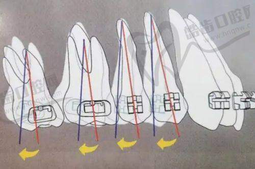 深圳维港口腔门诊部（罗湖区委院）医生团队实力强大及骨干医生简介