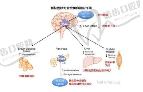 上海美姿医疗美容医院是正规医院吗？