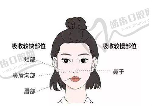 北京301解放军总医院整形美容价格表2025全新重磅一览：胸部整形价格大公开
