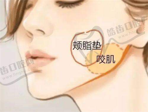 重庆去眼袋哪个医院好之重庆铜雀台整形外科医院