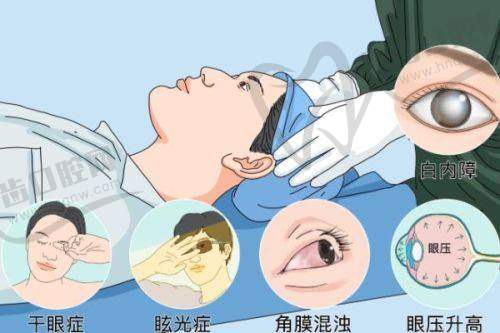陆培荣医生执医荣誉