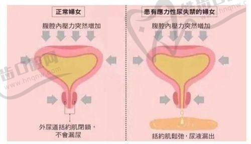 刘凯医生坐诊哪个医院？