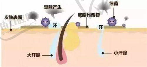从用户评价看张楚的真实口碑