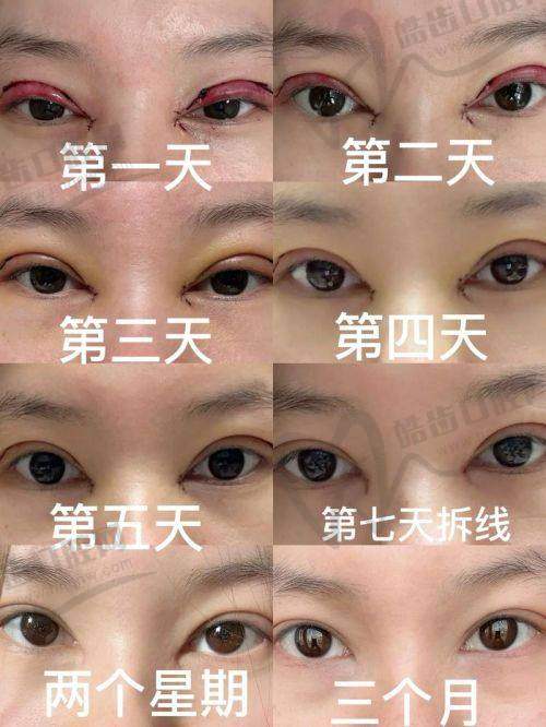 张球俊医生执医荣誉