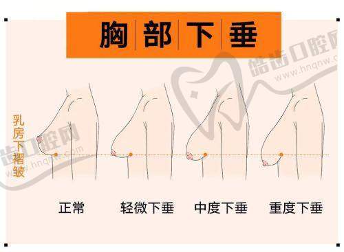 五、预约方式与坐诊地址