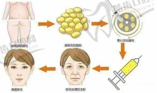 选择上海岳伟博士不同坐诊医院的优势对比