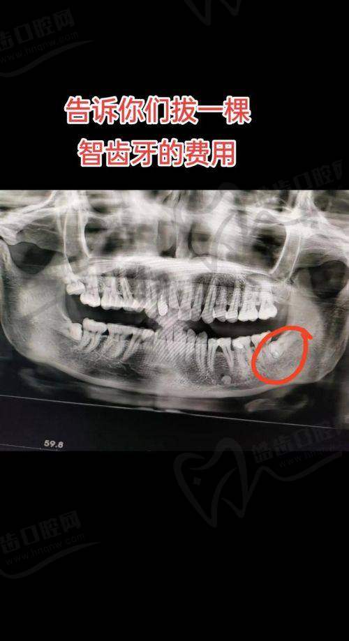 向倩黎医生的个人资料简介