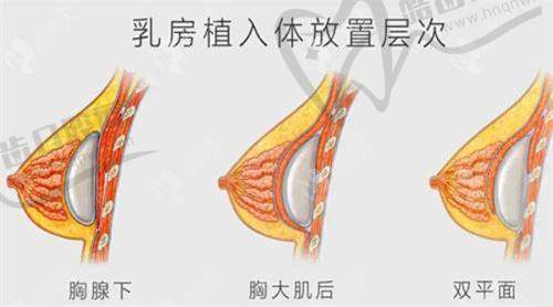 孔令伟医生的任职经历和荣誉与成就