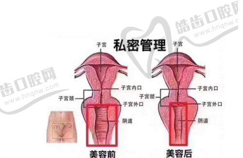 巫文云医生怎么挂号