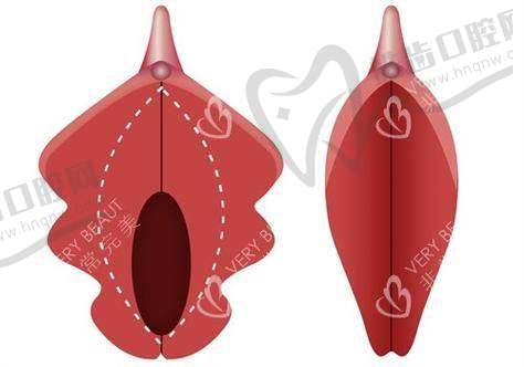 深圳怡康医院(私密整形中 心)医生团队实力强大及骨干医生简介