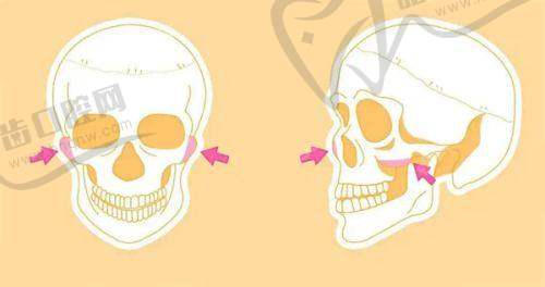 男士镶珠手术骗局?男士埋珠手术非骗局费用1000起|入珠2圈两年后成效分析