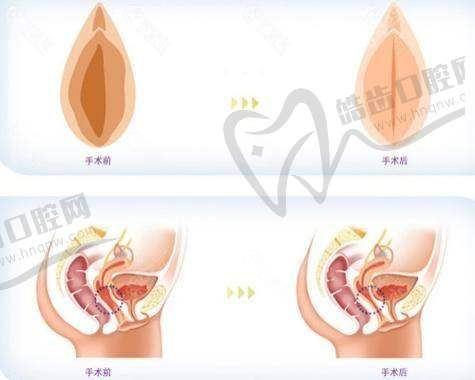 三、北京星洲医疗美容门诊部地址详情