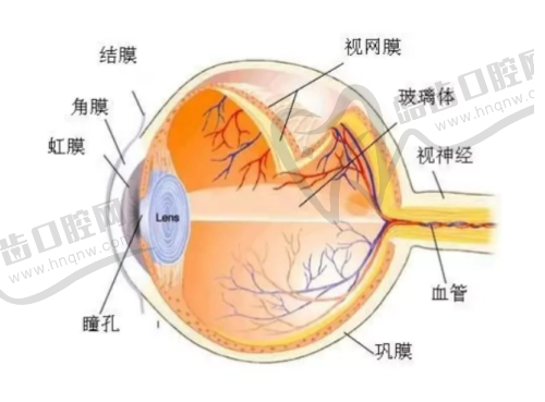 李煜医生价格表