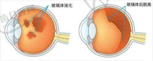 李丽医生预约挂号