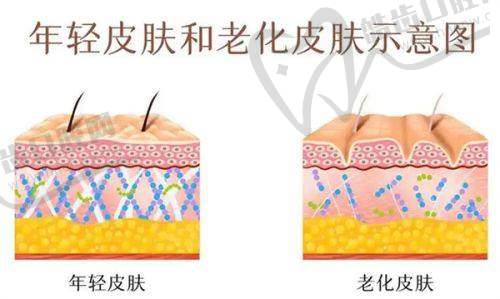 崔鑫医生预约的注意事项
