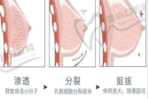 湖州俪莼医疗美容门诊部地址在哪里