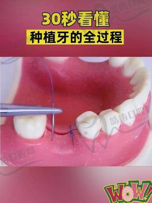 晏奇个人资质