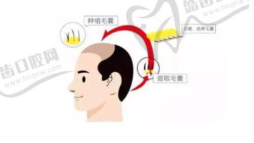 台州丽雅医疗美容医院详细的预约挂号方式及流程